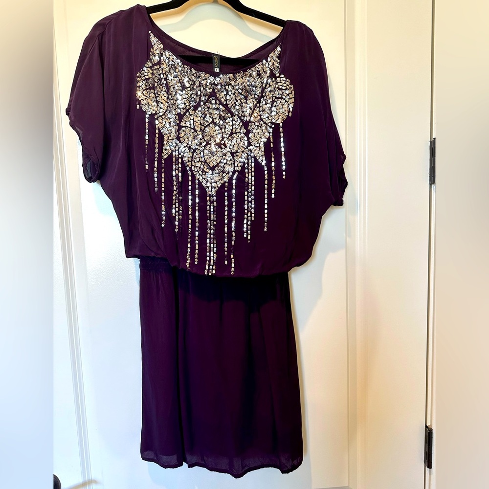 Purple dress with silver sequins